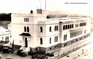 ALGER - SERVICE EXPERIMENTATION AGRICOLE